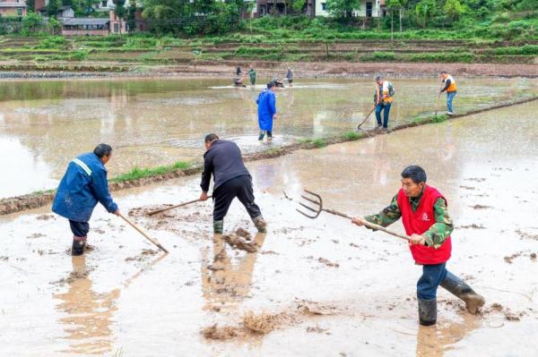 重庆南川：助农服务队 田间地头劳作忙