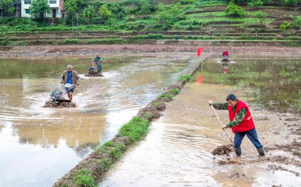 重庆南川：助农服务队 田间地头劳作忙