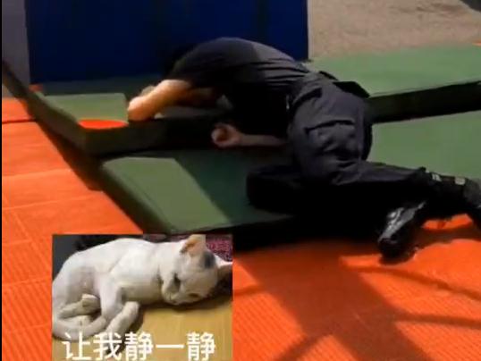 被电击器击中是什么感觉？警察蜀黍亲测......网友：我狠起来连我自己都电！