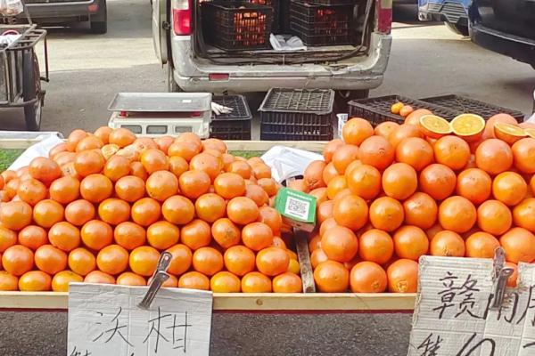 早八不行早市可以！大学生们在沈阳赶早市！爆火！