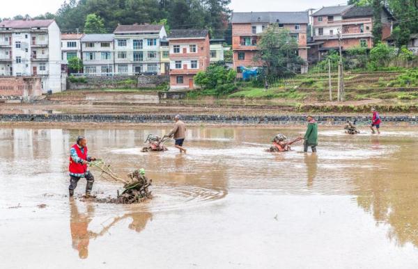 重庆南川：助农服务队 田间地头劳作忙