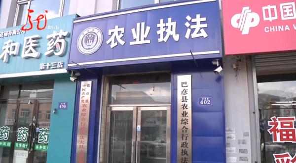 哈尔滨：刚买的40多头猪崽集体死亡……相关单位紧急提醒