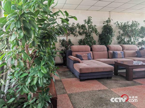 冈仁波齐脚下的派出所：最多一天救援上百人，所长电话被写进旅游攻略