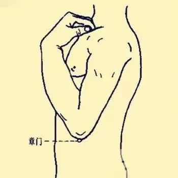 【实用知识】养胃就靠一保二米三水四穴五防