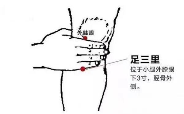 【实用知识】养胃就靠一保二米三水四穴五防