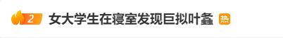 冲上热搜！惊现巨拟叶螽！网友：……