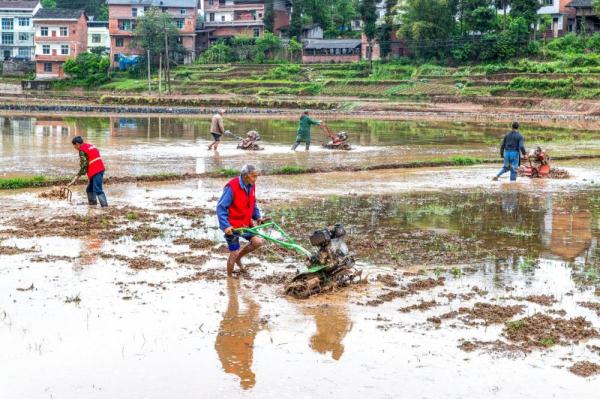 重庆南川：助农服务队 田间地头劳作忙