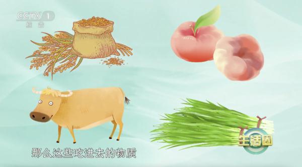 【黄帝内经】喝好一茶、一粥,帮你养颜护肤、延缓衰老~ 【黄帝内经】喝好一茶、一粥,帮你养颜护肤、延缓衰老~