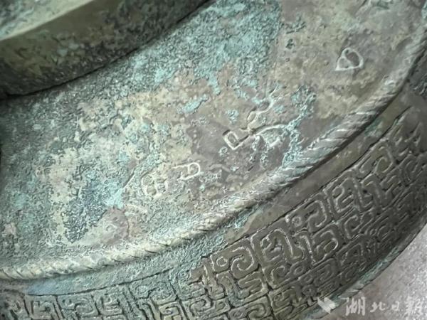 “捉迷藏式”的追宝行动，已抓获25人……