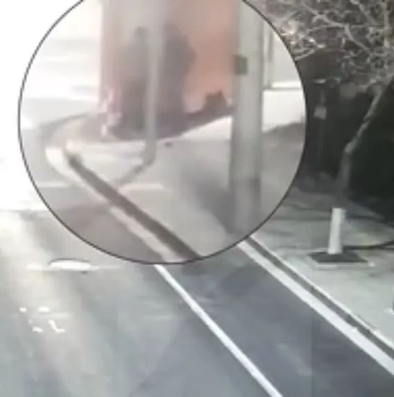 穷游上海手头拮据，他们竟先后五次窃取路边早餐车...