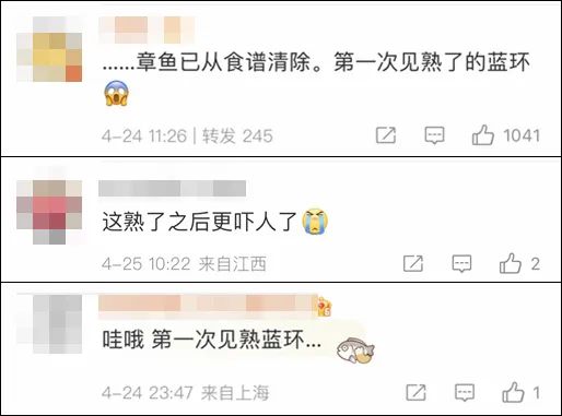 又有人吃出剧毒“蓝环章鱼”?网友惊呼:第一次看到熟的! 又有人吃出剧毒“蓝环章鱼”?网友惊呼:第一次看到熟的!