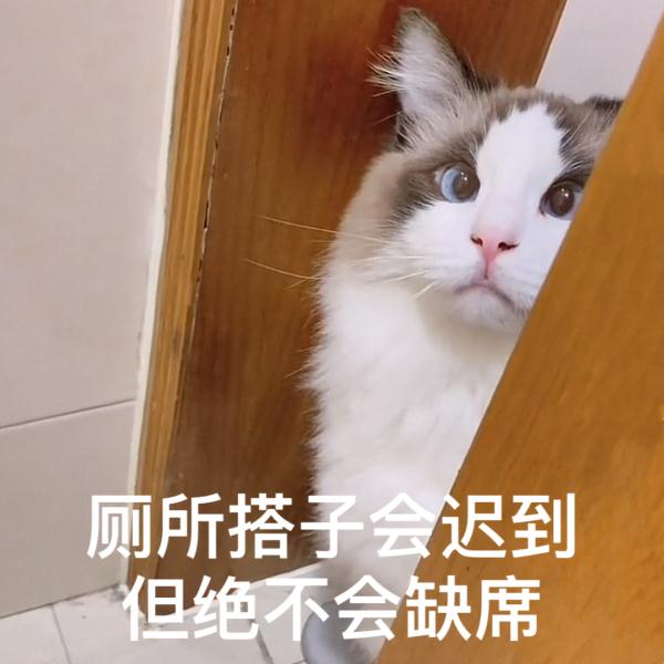 平替？如今年轻人竟流行这个…过半人都有，你呢？