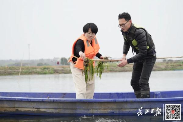55元/斤!女博士后养的,卖爆了! 55元/斤!女博士后养的,卖爆了!