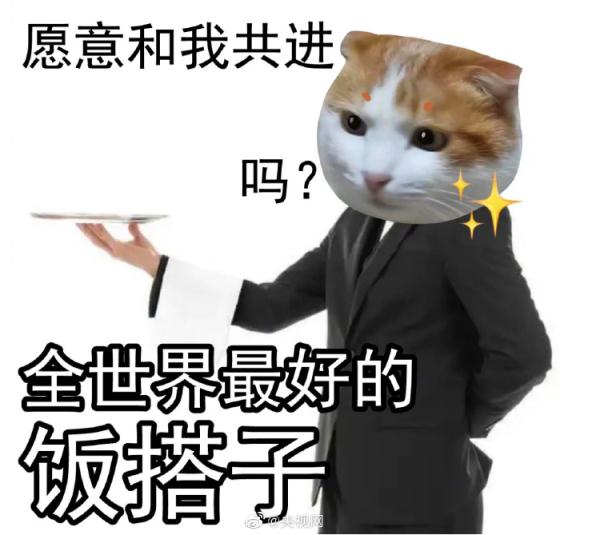 平替？如今年轻人竟流行这个…过半人都有，你呢？