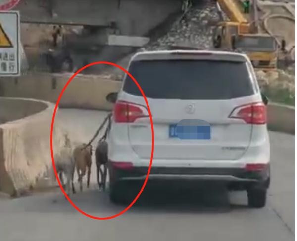 抱着孩子开车,开车遛狗……这些司机的“神操作”太吓人! 抱着孩子开车,开车遛狗……这些司机的“神操作”太吓人!