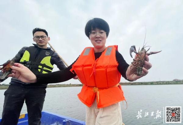 55元/斤!女博士后养的,卖爆了! 55元/斤!女博士后养的,卖爆了!
