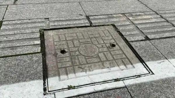 杭州一路面不停飞出虫子！撬开一看头皮发麻……