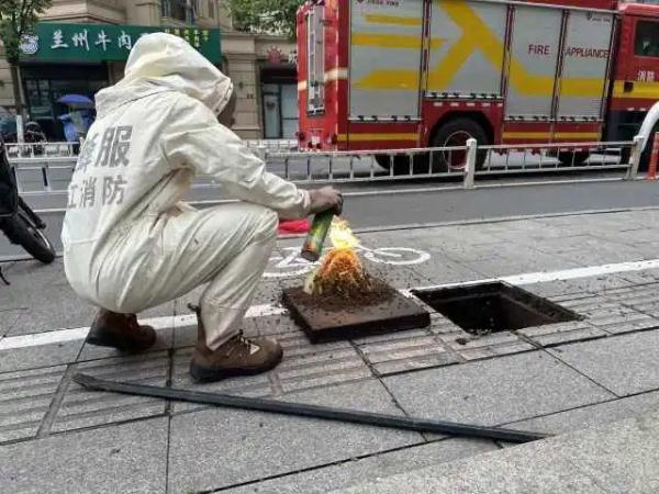 杭州一路面不停飞出虫子！撬开一看头皮发麻……