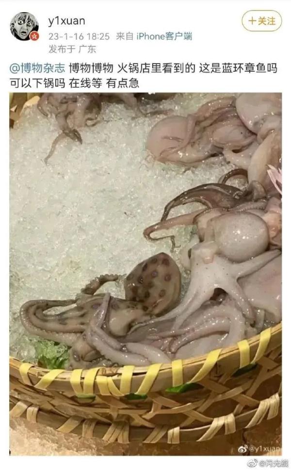 有剧毒！这次还是煮熟了的！紧急提醒：千万别吃