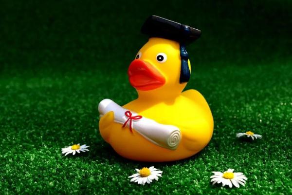 杭州家长质疑：小学毕业照收费300多不合理！家委会：你家娃可以不参加！