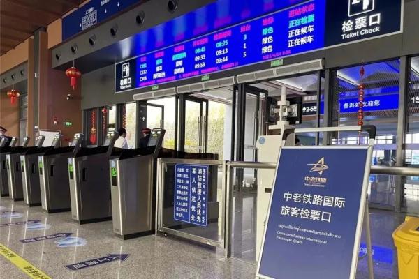 出国游“上新”！购票、签证、通关……最详乘车攻略