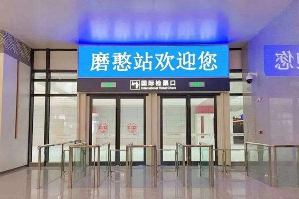 出国游“上新”！购票、签证、通关……最详乘车攻略
