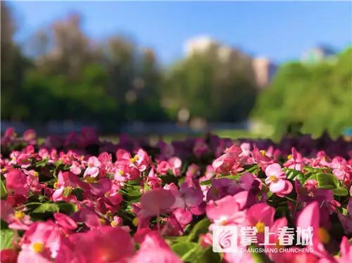 提醒！五一期间昆明翠湖公园开放时间有调整
