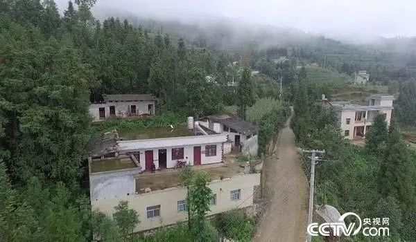 他去向已定!全网祝福 他去向已定!全网祝福