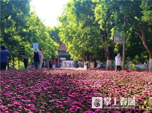 提醒！五一期间昆明翠湖公园开放时间有调整