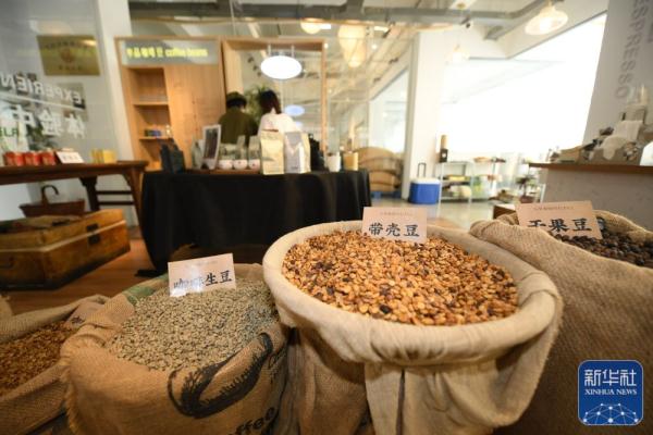 山城氤氲咖啡香 山城氤氲咖啡香