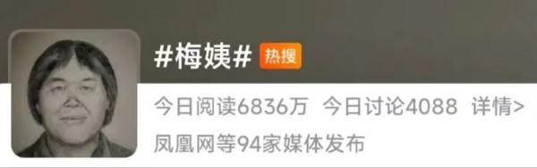 “梅姨”落网了？警方回应