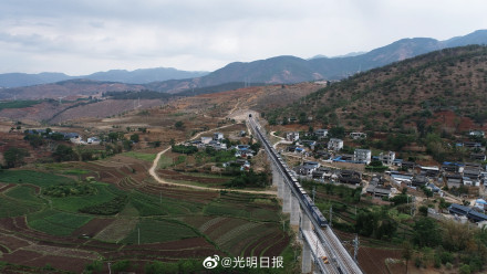 大瑞铁路蒲缥站开通货运 大瑞铁路蒲缥站开通货运