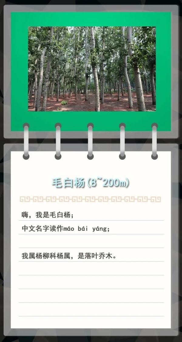 大金雕到小刺猬，毛白杨到筋骨草，北京也是它们的家