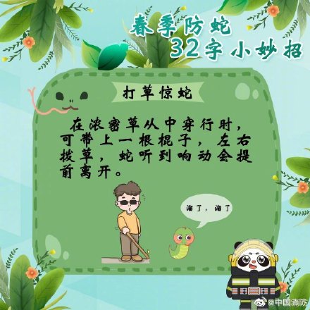 这份防蛇锦囊一定揣好