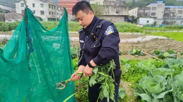 小学生“大义灭亲”举报亲戚，警察：大力表扬！