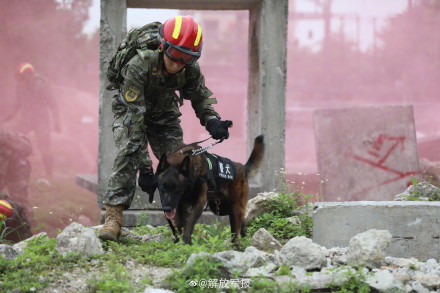 尖兵出动!武警官兵应急救援演练 尖兵出动!武警官兵应急救援演练