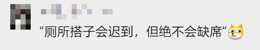 “饭搭子离职了,比失恋还痛苦……” “饭搭子离职了,比失恋还痛苦……”