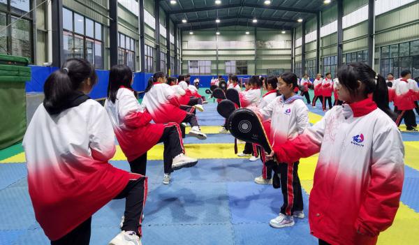 新华社发在罗雪林看来,分模块进行体育课教学,一方面可以让教师投入