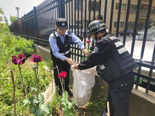 小学生“大义灭亲”举报亲戚，警察：大力表扬！