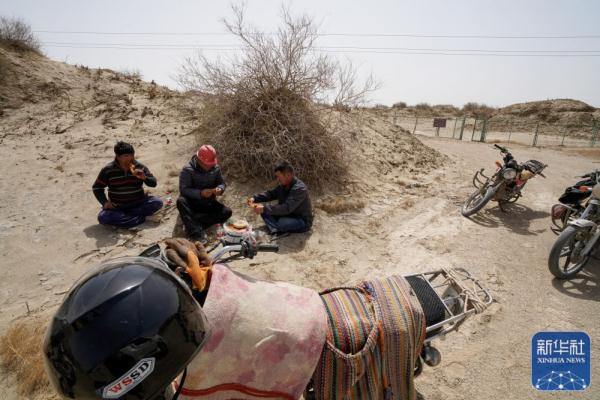 戈壁深处巡护烽燧 戈壁深处巡护烽燧