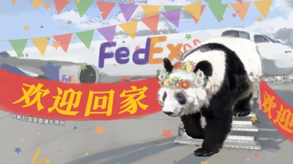 “丫丫”最新情况如何?何时能和“丫丫”见面? “丫丫”最新情况如何?何时能和“丫丫”见面?