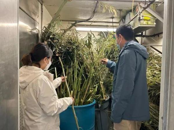 网友沸腾！阔别20年，“丫丫”欢迎回家！