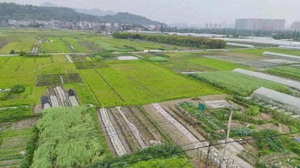 小学生“大义灭亲”举报亲戚，警察：大力表扬！