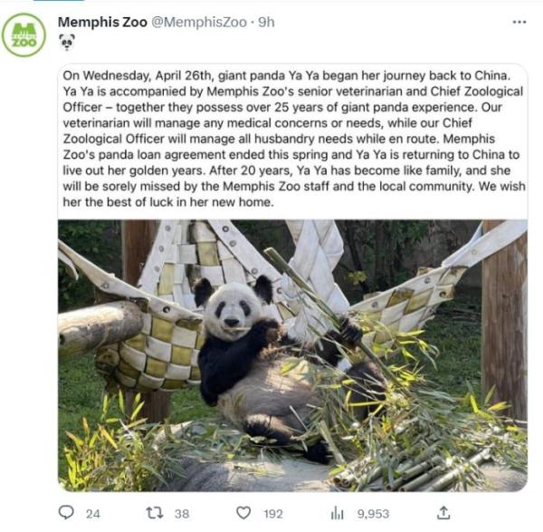 孟菲斯动物园发文送别“丫丫”:“我们会非常想念她” 孟菲斯动物园发文送别“丫丫”:“我们会非常想念她”