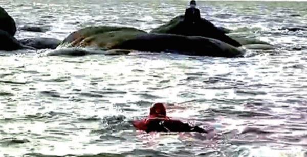 游客观海潮被困礁石上 消防架“生命之绳”救回 游客观海潮被困礁石上 消防架“生命之绳”救回