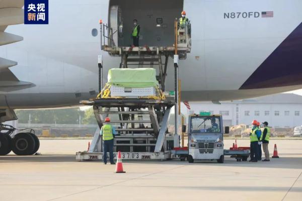 “丫丫”回国！检疫期间，北动专家全天24小时陪护——