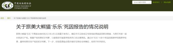 旅美大熊猫“乐乐”死因报告发布