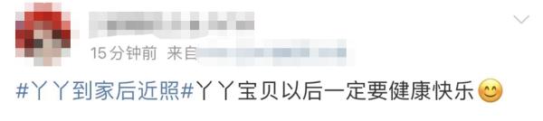 大熊猫丫丫回国后首次露面！竹子、辅食、空调都安排了