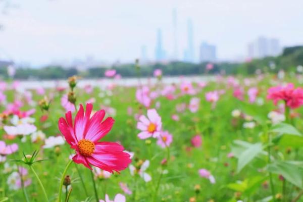 太太太好玩了吧！广州五一游玩攻略，拿好不谢→