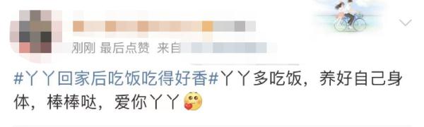 大熊猫丫丫回国后首次露面！竹子、辅食、空调都安排了